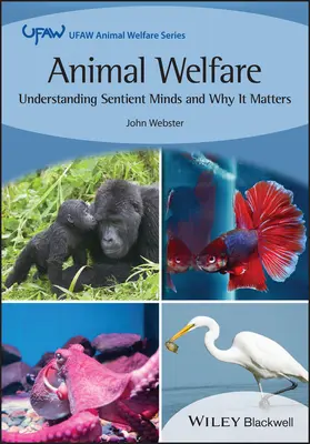 Állatjólét: Az érző lelkek megértése és miért fontos ez - Animal Welfare: Understanding Sentient Minds and Why It Matters