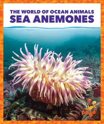 Tengeri anemónák - Sea Anemones