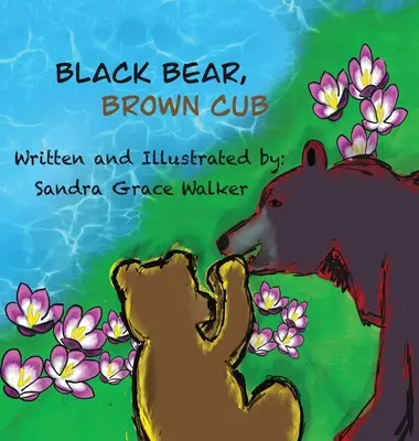 Fekete medve, barna kölyök - Black Bear, Brown Cub