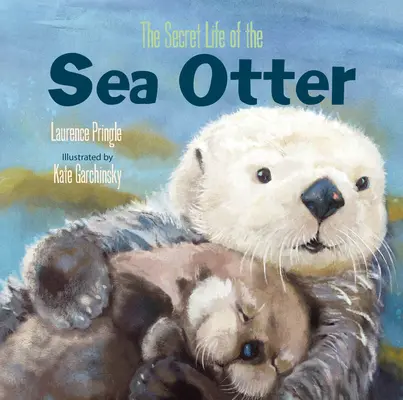 A tengeri vidra titkos élete - The Secret Life of the Sea Otter