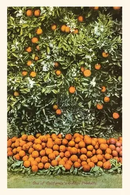 A Vintage Journal Orange Grove - The Vintage Journal Orange Grove