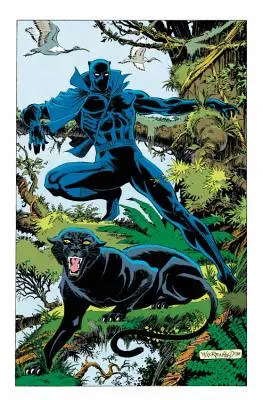 Black Panther: Panther's Quest