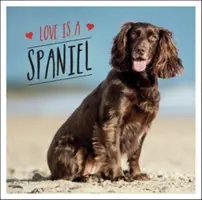 A szerelem egy spániel - A világ legszerethetőbb fajtájának kutyás ünneplése - Love is a Spaniel - A Dog-Tastic Celebration of the World's Most Lovable Breed