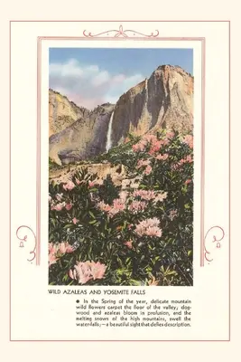 A Vintage Journal Vad azáleák a Yosemite-ban - The Vintage Journal Wild Azaleas at Yosemite