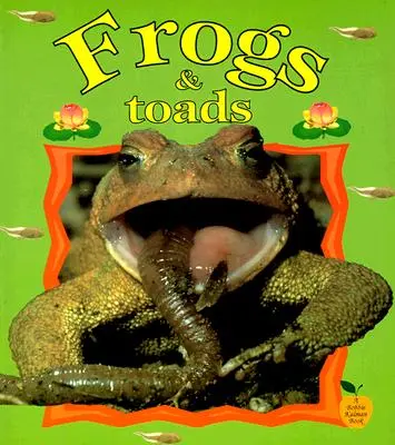 Békák és varangyok - Frogs & Toads