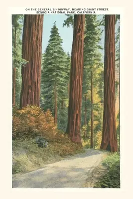 A Vintage Journal Sequoia Nemzeti Park - The Vintage Journal Sequoia National Park