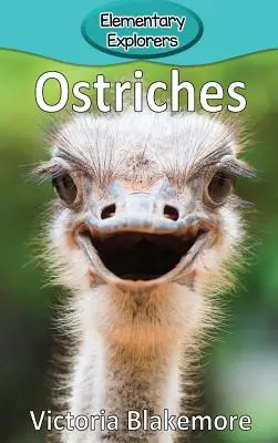 Struccok - Ostriches