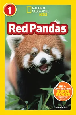 Vörös pandák - Red Pandas