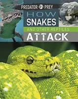 Predator Vs Prey: Hogyan támadnak a kígyók és más hüllők! - Predator Vs Prey: How Snakes and Other Reptiles Attack!