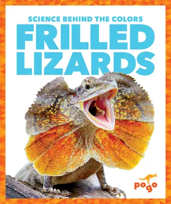 Fodros gyíkok - Frilled Lizards