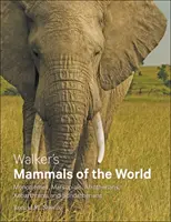 Walker's Mammals of the World (A világ emlősei): Monotremes, Marsupialians, Afrotherians, Xenarthrans, and Sundatherians - Walker's Mammals of the World: Monotremes, Marsupials, Afrotherians, Xenarthrans, and Sundatherians