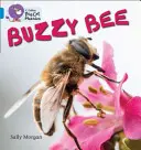 Buzzy Bees