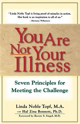 Te nem vagy a betegséged: Hét alapelv a kihívással való szembenézéshez - You Are Not Your Illness: Seven Principles for Meeting the Challenge