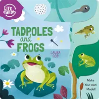 Ebihalak és békák - Készíts saját modellt! - Tadpoles and Frogs - Make Your Own Model!