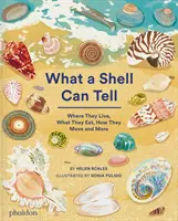 Amit egy kagyló elárul - What A Shell Can Tell