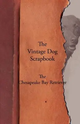 A Vintage Dog Scrapbook - A Chesapeake Bay Retriever - The Vintage Dog Scrapbook - The Chesapeake Bay Retriever