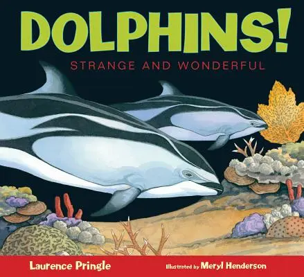 Delfinek! - Dolphins!