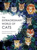 A macskák rendkívüli világa - Extraordinary World of Cats