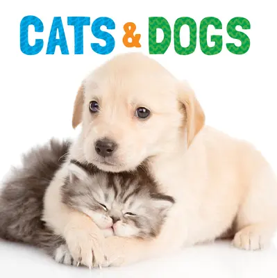 Macskák és kutyák - Cats & Dogs