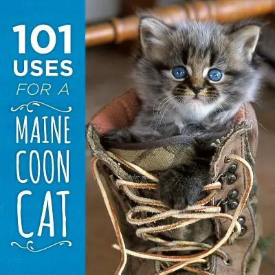 A Maine Coon macska 101 felhasználási módja - 101 Uses for a Maine Coon Cat