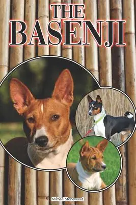 A Basenji: Teljes és átfogó útmutató kezdőknek: Vásárlás, birtoklás, egészség, ápolás, képzés, engedelmesség, megértés. - The Basenji: A Complete and Comprehensive Beginners Guide To: Buying, Owning, Health, Grooming, Training, Obedience, Understanding