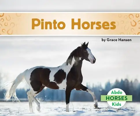 Pinto lovak - Pinto Horses