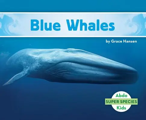 Kék bálnák - Blue Whales