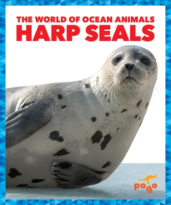 Hárpi fókák - Harp Seals