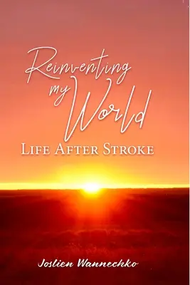 Reinventing My World: Élet a stroke után - Reinventing My World: Life After Stroke