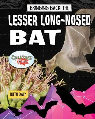 A kis hosszúorrú denevér visszahozása - Bringing Back the Lesser Long-Nosed Bat