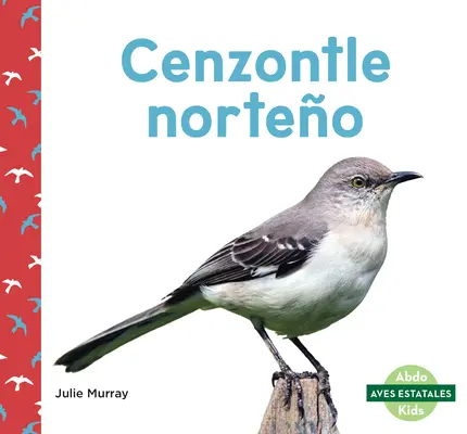 Cenzontle Norteo (Északi gúnyolódók) - Cenzontle Norteo (Northern Mockingbirds)