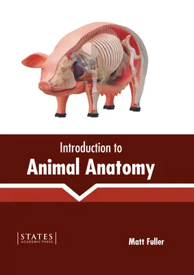 Bevezetés az állatok anatómiájába - Introduction to Animal Anatomy