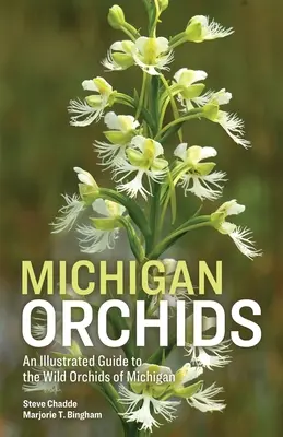 Michigani orchideák - Michigan Orchids