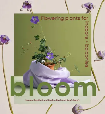 Bloom: Virágzó növények beltérre és erkélyre - Bloom: Flowering Plants for Indoors and Balconies