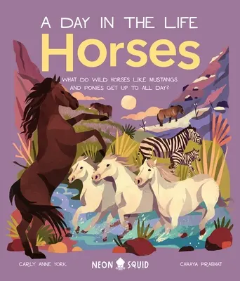 Lovak (egy nap az életben): Mit csinálnak egész nap a vadlovak, mint a musztángok és a pónik? - Horses (a Day in the Life): What Do Wild Horses Like Mustangs and Ponies Get Up to All Day?