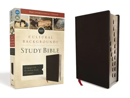 NIV, Cultural Backgrounds Study Bible, Indexelt, Bonded Leather: Bringing to Life the Ancient World of Scripture (A Szentírás ősi világának megelevenítése) - NIV, Cultural Backgrounds Study Bible, Indexed, Bonded Leather: Bringing to Life the Ancient World of Scripture