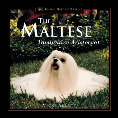 A máltaiak: Diminutív arisztokrata - The Maltese: Diminutive Aristocrat