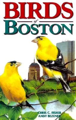 Boston madarai - Birds of Boston