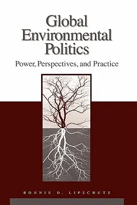 Globális környezetvédelmi politika: Hatalom, perspektívák és gyakorlat - Global Environmental Politics: Power, Perspectives, and Practice