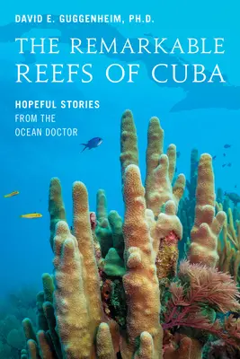 Kuba figyelemre méltó zátonyai: Reményteli történetek az óceán orvosától - The Remarkable Reefs of Cuba: Hopeful Stories from the Ocean Doctor