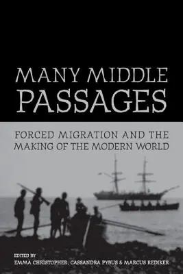 Sok középső átjáró: Kényszermigráció és a modern világ kialakulása 5. kötet - Many Middle Passages: Forced Migration and the Making of the Modern Worldvolume 5