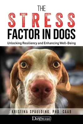 A stresszfaktor a kutyákban: A rugalmasság feloldása és a jólét fokozása - The Stress Factor in Dogs: Unlocking Resiliency and Enhancing Well-Being