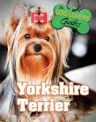 Yorkshire terrier - Yorkshire Terrier