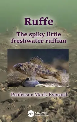 Ruffe: A tüskés kis édesvízi süllő - Ruffe: The Spiky Little Freshwater Ruffian