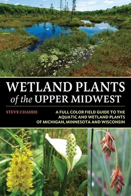 A felső középnyugat vizes élőhelyi növényei - Wetland Plants of the Upper Midwest