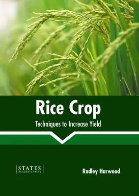 Rizstermesztés: technikák a hozam növelésére - Rice Crop: Techniques to Increase Yield