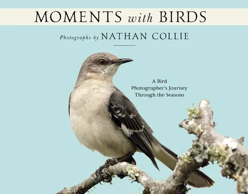 Pillanatok a madarakkal: Egy madárfotós utazása az évszakokon keresztül - Moments with Birds: A Bird Photographer's Journey Through the Seasons