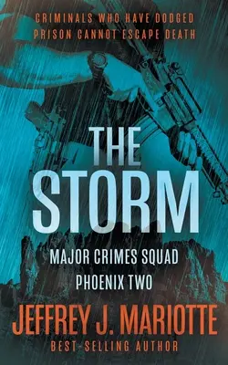 A vihar: A Police Procedural Series - The Storm: A Police Procedural Series