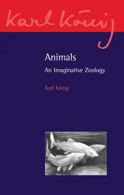 Állatok: Képzeletbeli zoológia - Animals: An Imaginative Zoology