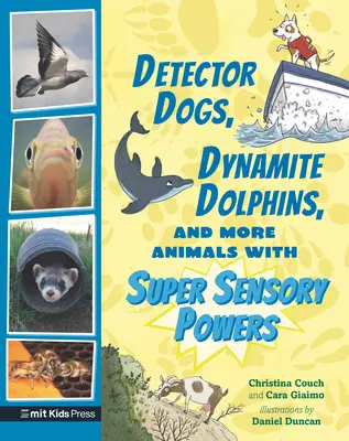 Detektorkutyák, dinamit delfinek és még több szuper érzékszervi képességekkel rendelkező állat - Detector Dogs, Dynamite Dolphins, and More Animals with Super Sensory Powers